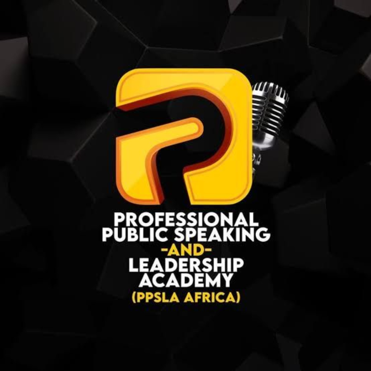 Professional Public Speaking & Leadership Academy (PPSLA Africa)
